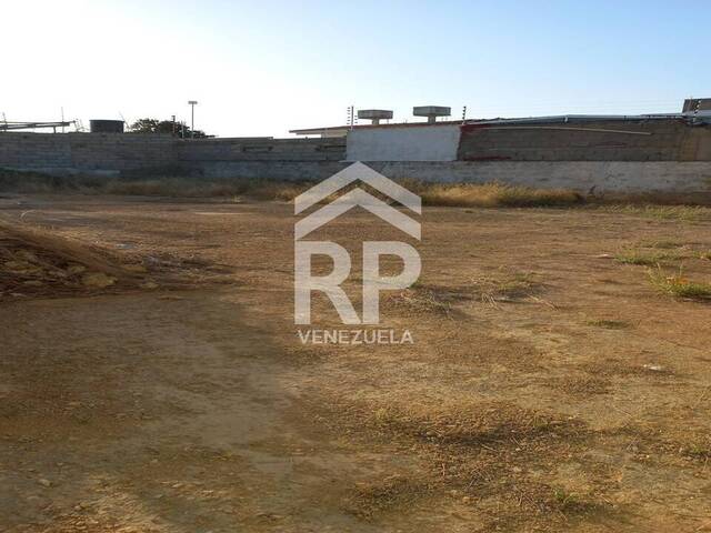 Terreno para Venta en Punto Fijo - 5