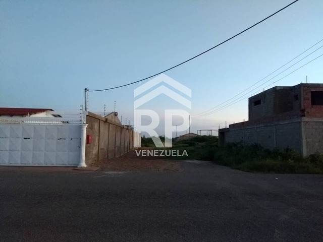 Terreno para Venta en Punto Fijo - 4