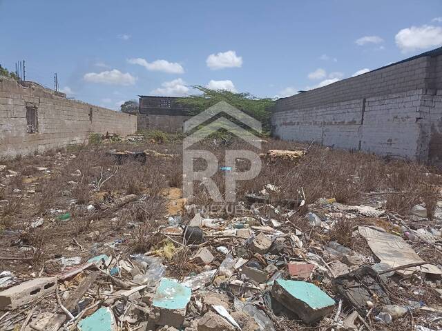 Terreno para Venta en Punto Fijo - 4